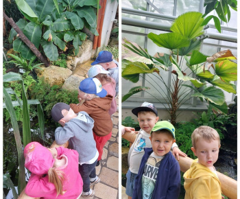Botanická záhrada 