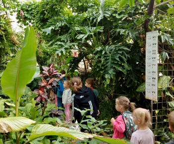 Botanická záhrada 