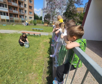 Život motýľa