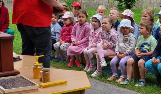 Ako žijú včely 