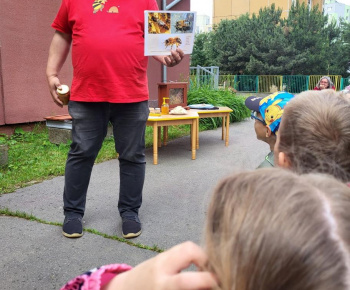 Ako žijú včely