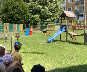 Život dravcov