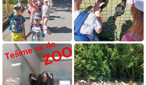 Boli sme v ZOO ... dobre nám tam bolo... 