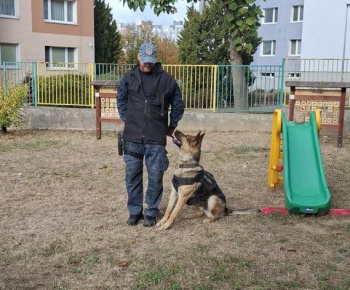 Mestská polícia a psovod