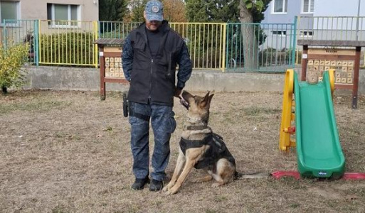 Mestská polícia a psovod 