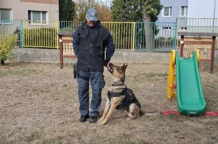 Mestská polícia a psovod